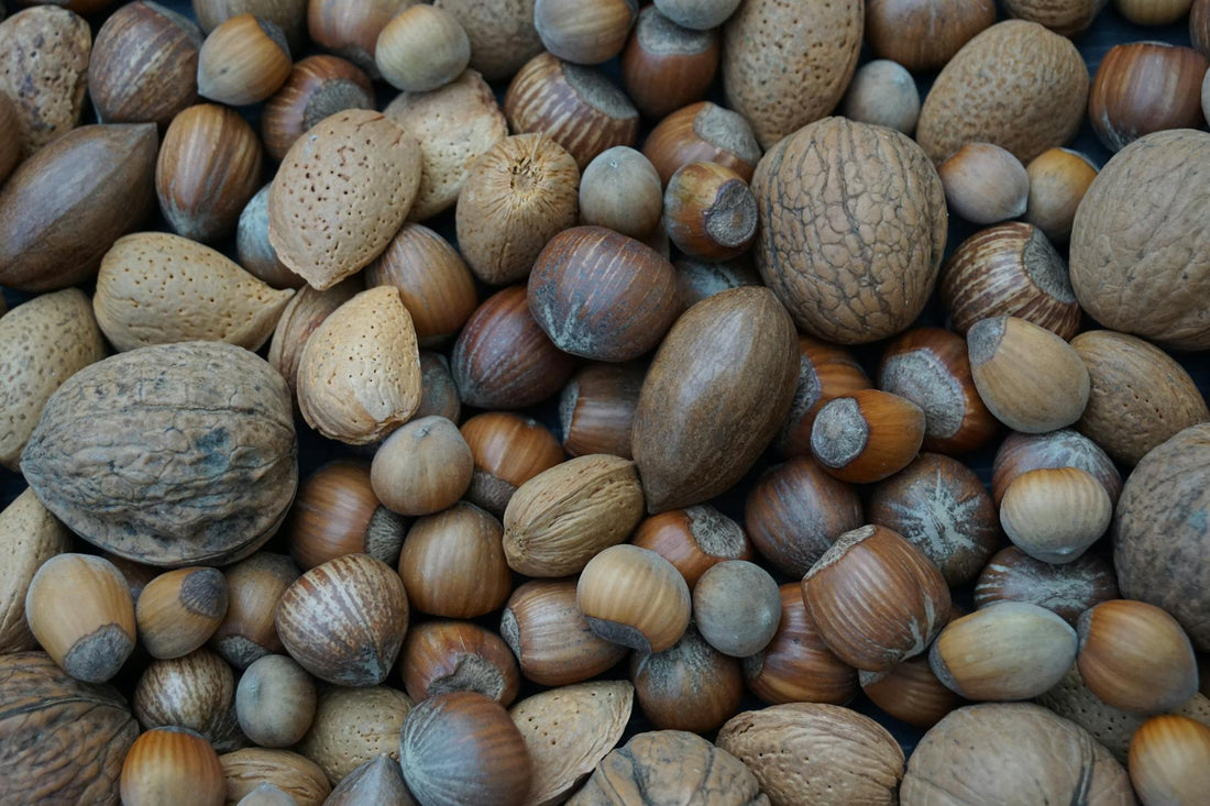How Plant-Based and Organic Snacks Improve Your Gut Health